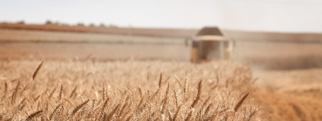 Виды шнековых погрузчиков