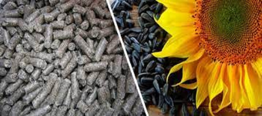 Перевалка шрота