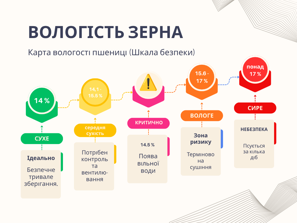 Яка норма вологості пшениці